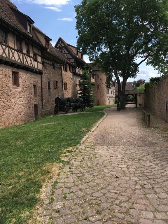Le P'Retzel & Le Sticksy Appartement Riquewihr Buitenkant foto